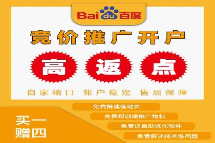 SEM托管服务，成功案例深度分析